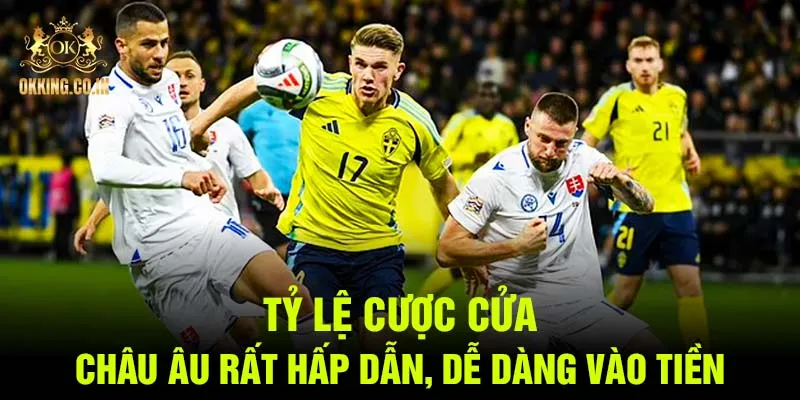 Tỷ lệ cược cửa châu Âu rất hấp dẫn, dễ dàng vào tiền