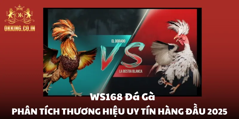 WS168 đá gà